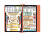 WhiteCoat Clipboard® - Coral Physical Therapy Edition